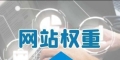 探索网站权重的真实面纱，搜索引擎到底存不存所谓的权重