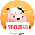 seo源码