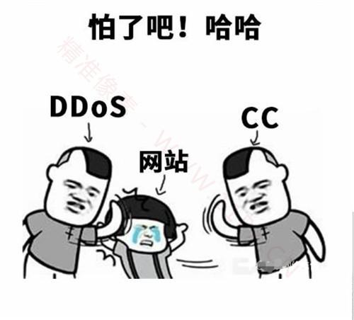 服务器遭受cc攻击怎么办？-1.jpeg